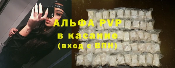 сатива Армянск