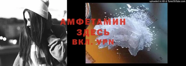 сатива Армянск